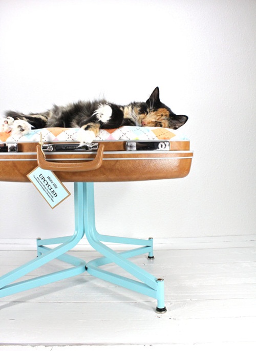 DIY เฟอร์นิเจอร์แมว ของเล่นแมว DIY เฟอร์นิเจอร์แมว ของเล่นแมว