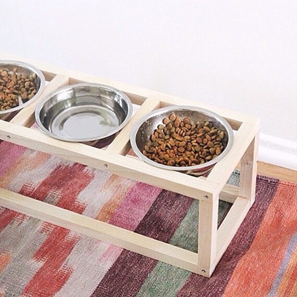 DIY เฟอร์นิเจอร์แมว ของเล่นแมว DIY เฟอร์นิเจอร์แมว ของเล่นแมว