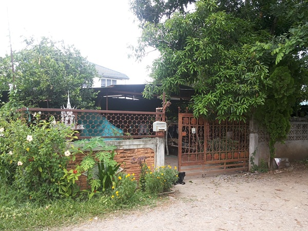 สร้างบ้านชั้นเดียว แบบบ้านชั้นเดียว 3 ห้องนอน 2 ห้องน้ำ สร้างบ้านชั้นเดียว แบบบ้านชั้นเดียว 3 ห้องนอน 2 ห้องน้ำ