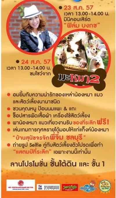 หมา ๆ แมว ๆ Aloha ท้าฝน เริ่ม หมา ๆ แมว ๆ Aloha ท้าฝน เริ่ม
