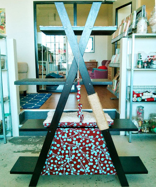 DIY เฟอร์นิเจอร์แมว ของเล่นแมว DIY เฟอร์นิเจอร์แมว ของเล่นแมว