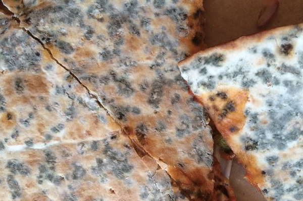 พ่ออังกฤษผวา สั่งพิซซ่า เจอราขึ้นทั้งถาด พ่ออังกฤษผวา สั่งพิซซ่า เจอราขึ้นทั้งถาด