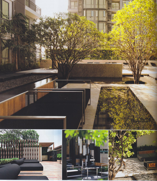 มาจัดสวนสวยในคอนโดกันเถอะ
