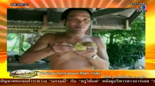 พบผลจำปาดะทรงคล้ายอวัยวะเพศชาย ที่พัทลุง