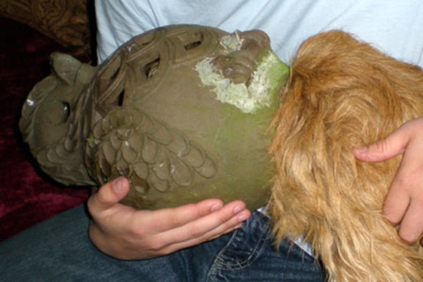 10 น้องหมาน่าสงสาร ติดแหง็กท่าพิสดารเพราะความซน 10 น้องหมาน่าสงสาร ติดแหง็กท่าพิสดารเพราะความซน