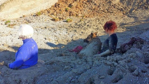 10 น้องหมาน่าสงสาร ติดแหง็กท่าพิสดารเพราะความซน 10 น้องหมาน่าสงสาร ติดแหง็กท่าพิสดารเพราะความซน