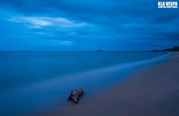 ให้ภาพถ่ายบอกเล่าความงามของท้องทะเลไทย ให้ภาพถ่ายบอกเล่าความงามของท้องทะเลไทย