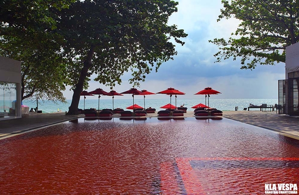 ให้ภาพถ่ายบอกเล่าความงามของท้องทะเลไทย ให้ภาพถ่ายบอกเล่าความงามของท้องทะเลไทย