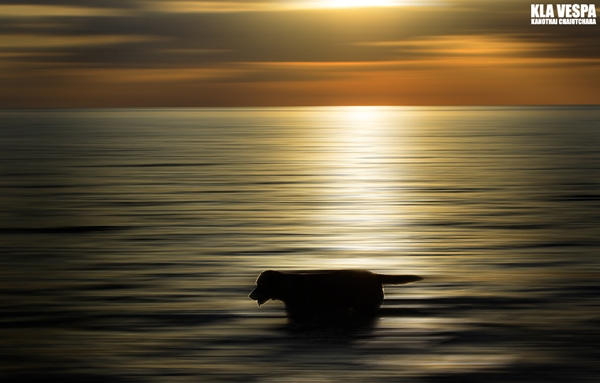 ให้ภาพถ่ายบอกเล่าความงามของท้องทะเลไทย ให้ภาพถ่ายบอกเล่าความงามของท้องทะเลไทย