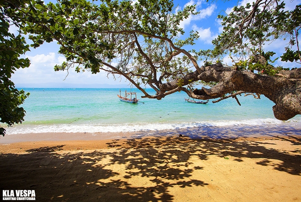 ให้ภาพถ่ายบอกเล่าความงามของท้องทะเลไทย ให้ภาพถ่ายบอกเล่าความงามของท้องทะเลไทย