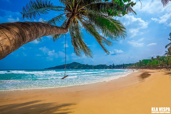 ให้ภาพถ่ายบอกเล่าความงามของท้องทะเลไทย ให้ภาพถ่ายบอกเล่าความงามของท้องทะเลไทย