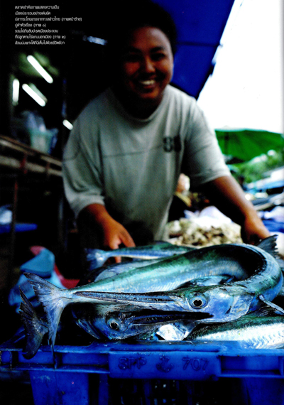 ใต้เงาฝนต่อหน้าทะเลและผู้คน ประจวบคีรีขันธ์ ใต้เงาฝนต่อหน้าทะเลและผู้คน ประจวบคีรีขันธ์
