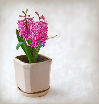 10 เคล็ดลับเด็ด ลดภาระค่าใช้จ่ายในบ้าน 10 เคล็ดลับเด็ด ลดภาระค่าใช้จ่ายในบ้าน