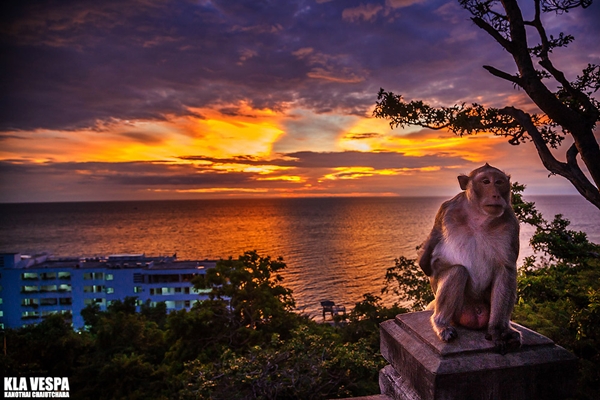 ให้ภาพถ่ายบอกเล่าความงามของท้องทะเลไทย ให้ภาพถ่ายบอกเล่าความงามของท้องทะเลไทย