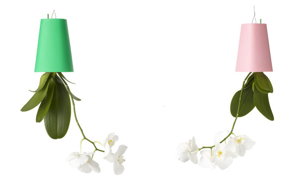 กระถางต้นไม้ลอยฟ้า ทางเลือกใหม่ของการจัดสวน