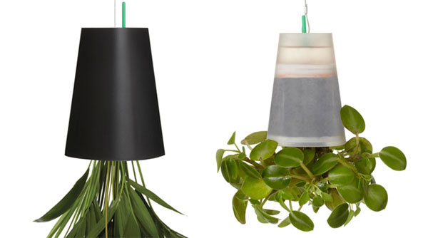 กระถางต้นไม้ลอยฟ้า ทางเลือกใหม่ของการจัดสวน