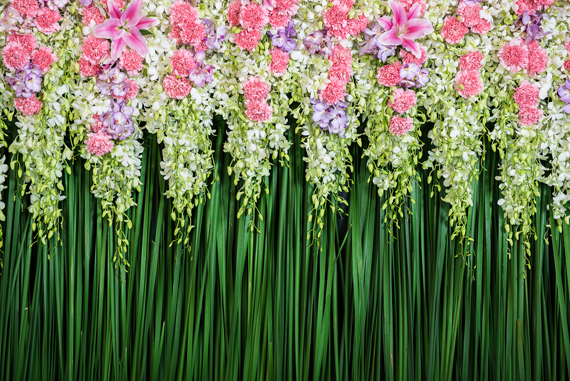 ซุ้มดอกไม้งานแต่งงาน ซุ้มดอกไม้งานแต่งงาน