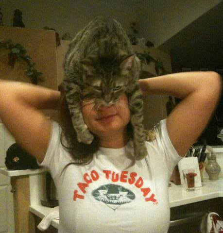 แคทโฟร cat fro แคทโฟร cat fro