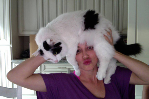 แคทโฟร cat fro แคทโฟร cat fro