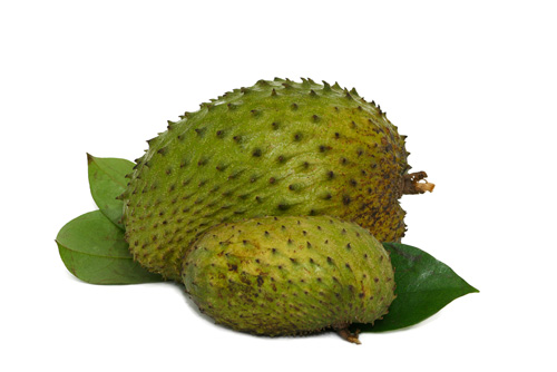 ทุเรียนน้ำ ทุเรียนน้ำ