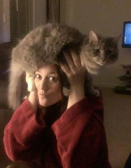 แคทโฟร cat fro แคทโฟร cat fro