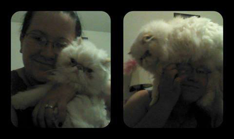 แคทโฟร cat fro แคทโฟร cat fro