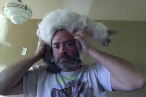 แคทโฟร cat fro แคทโฟร cat fro