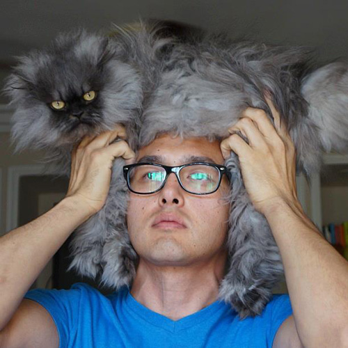 แคทโฟร cat fro แคทโฟร cat fro