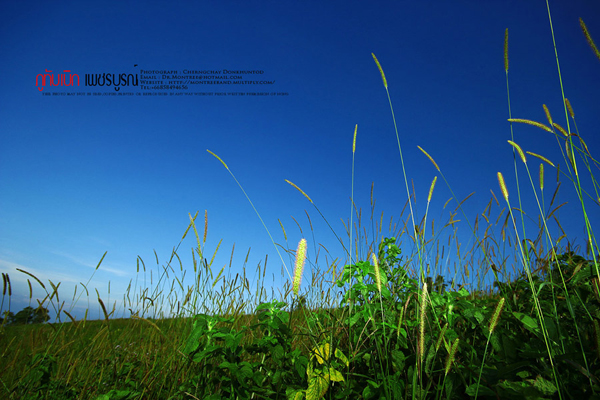 ภูทับเบิก-ภูหินร่องกล้า ภูทับเบิก-ภูหินร่องกล้า