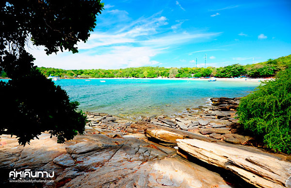 เกาะเสม็ด เกาะเสม็ด