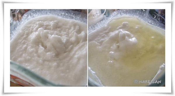 วิธีทําไอศครีมกะทิสด