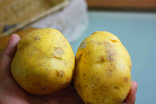 สเต็กหมูซอสเห็ดหอม สเต็กหมูซอสเห็ดหอม