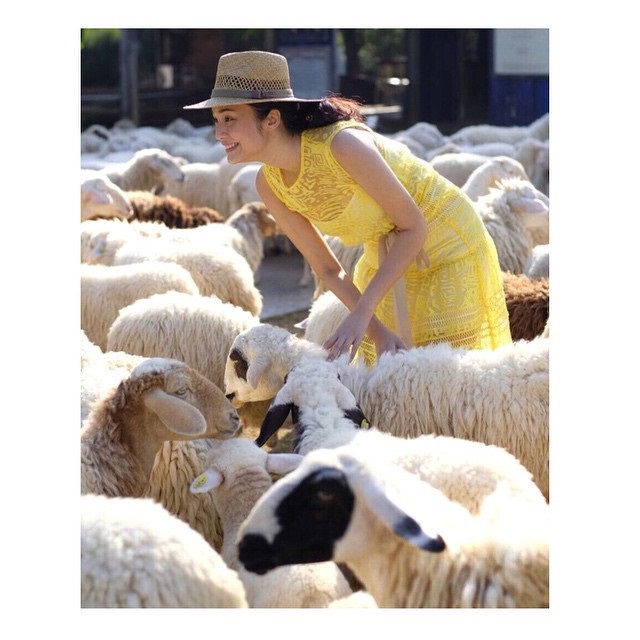 เอมี่ กลิ่นประทุม ครีม เปรมสินี เอมมี่ เอมี่ กลิ่นประทุม ครีม เปรมสินี เอมมี่