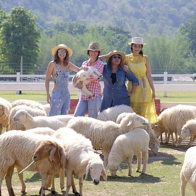 เอมี่ กลิ่นประทุม ครีม เปรมสินี เอมมี่ เอมี่ กลิ่นประทุม ครีม เปรมสินี เอมมี่