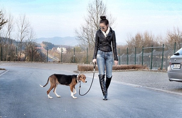 กระแต หลุยส์ กระแต หลุยส์