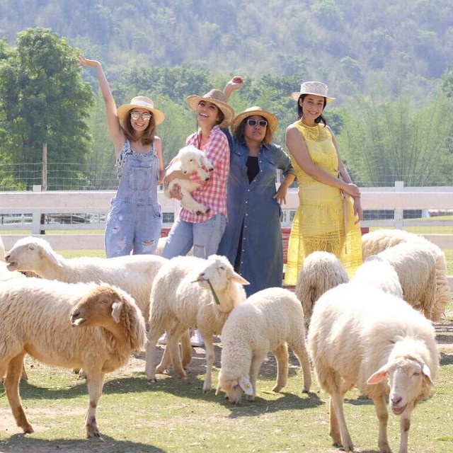 เอมี่ กลิ่นประทุม ครีม เปรมสินี เอมมี่ เอมี่ กลิ่นประทุม ครีม เปรมสินี เอมมี่