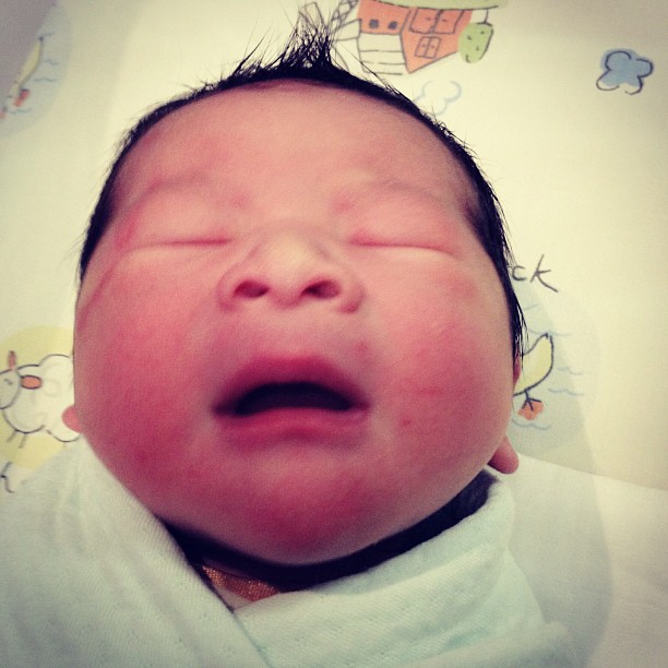 ลูกป๋อ เอ๋