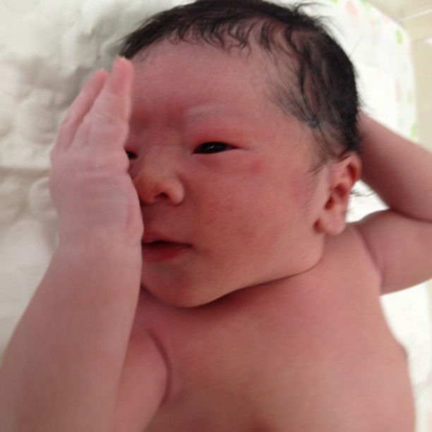ลูกป๋อ เอ๋