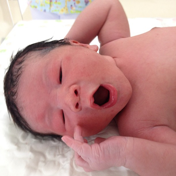 ลูกป๋อ เอ๋