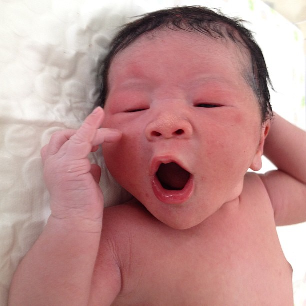 ลูกป๋อ เอ๋