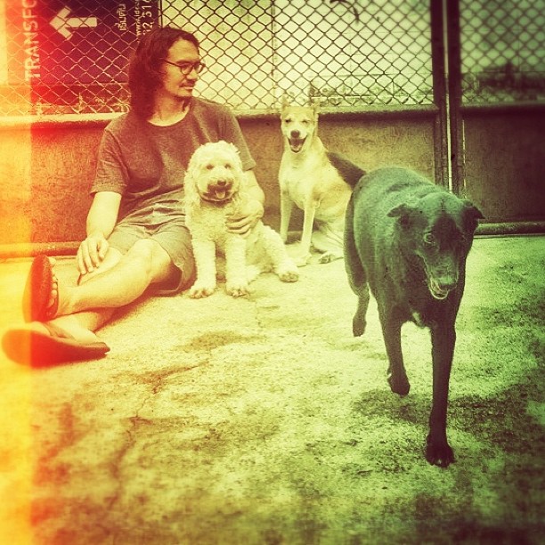 ปีเตอร์ นพชัย ปีเตอร์ นพชัย