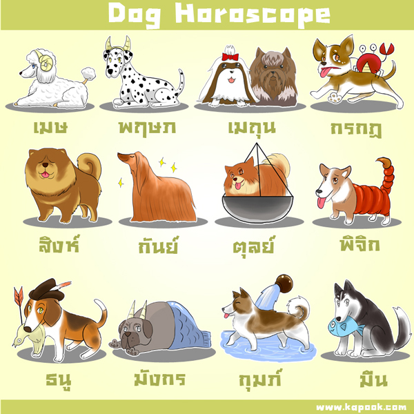 ดูดวงไพ่ยิปซี 12 ราศี