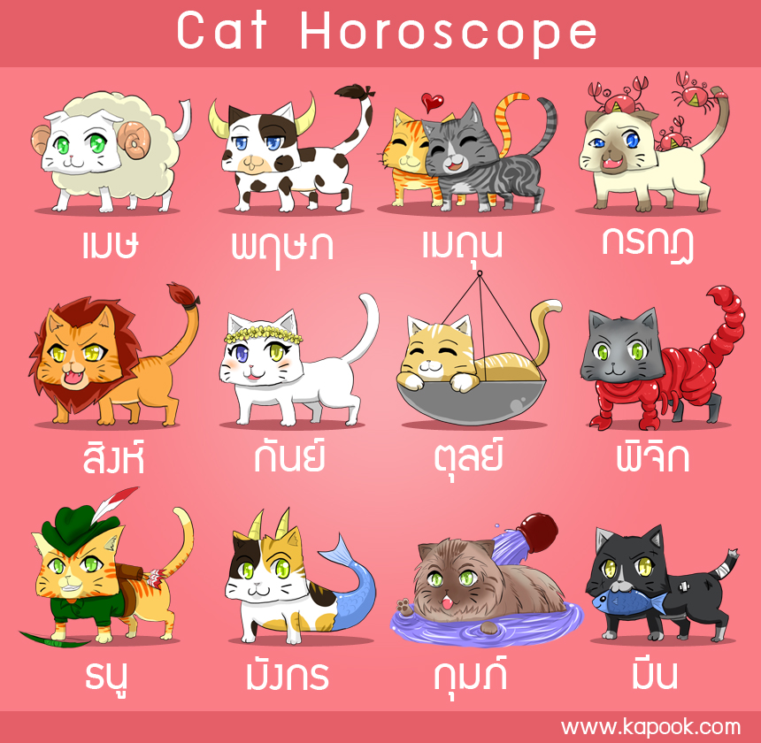 ดูดวงไพ่ยิปซี 12 ราศี ประจำวันที่ 22-28 กรกฎาคม 2556