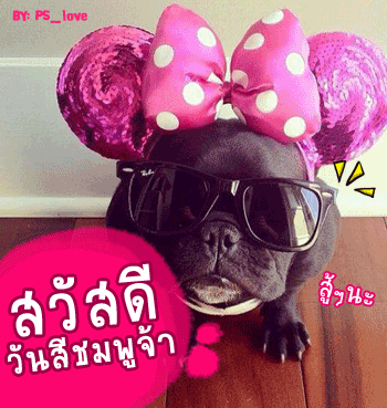 ดูดวงรายวัน ดวงวันนี้ ดูดวงรายวัน ดวงวันนี้