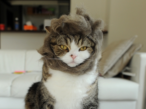 maru มารุ maru มารุ