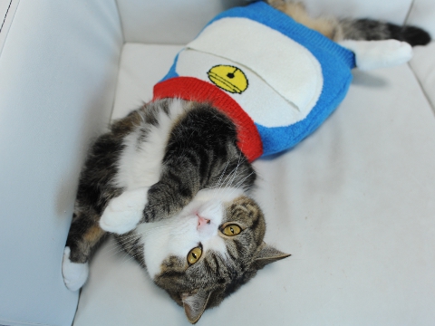 maru มารุ maru มารุ