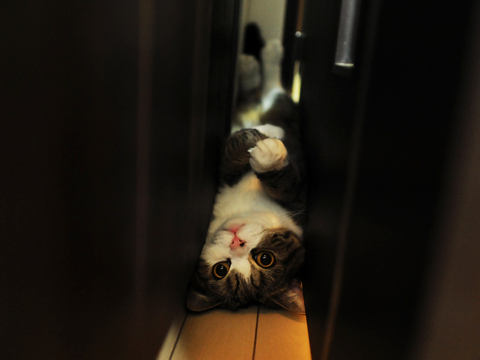 maru มารุ maru มารุ