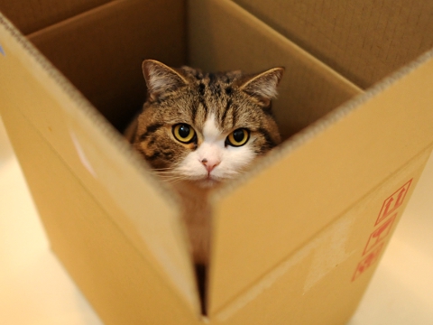 maru มารุ maru มารุ