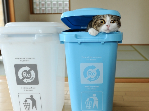 maru มารุ maru มารุ