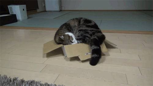 maru มารุ maru มารุ